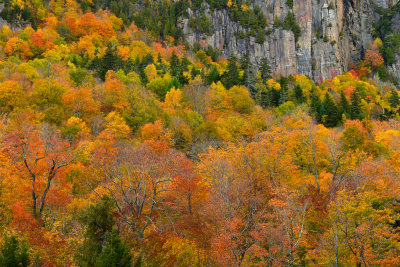NY - Adirondacks Rock Face Fall Colors 1.jpg