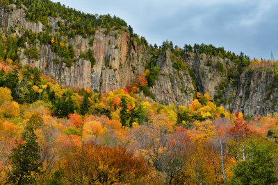 NY - Adirondacks Rock Face Fall Colors 2.jpg