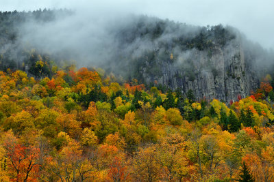 NY - Adirondacks Rock Face Fall Colors 3.jpg
