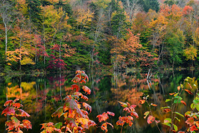 NY - Adirondacks Seventh Lake 1.jpg