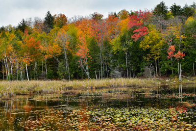 NY - Adirondacks Tupper Lake.jpg