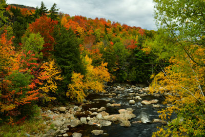 NY - Adirondacks West Ausable River 1.jpg