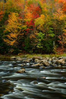NY - Adirondacks West Ausable River 2.jpg