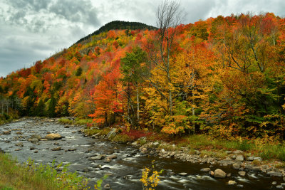 NY - Adirondacks West Ausable River 3.jpg