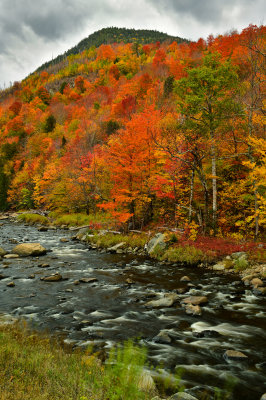 NY - Adirondacks West Ausable River 4.jpg