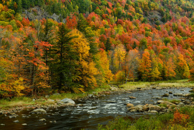 NY - Adirondacks West Ausable River 5.jpg
