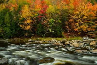 NY - Adirondacks West Ausable River 6.jpg