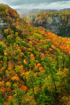 NY - Letchworth SP Fall Canyon 7.jpg