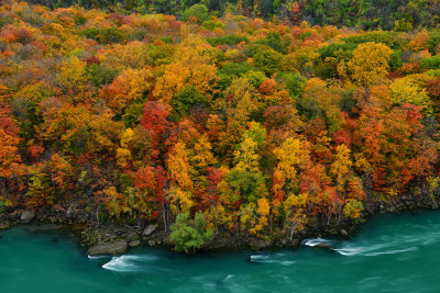 NY - Whirlpool SP Niagara Gorge 2.jpg