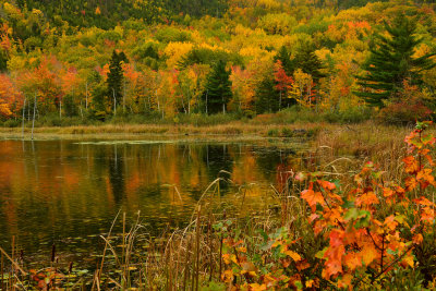 ME - Acadia National Park Beaver Dam Pond 1.jpg