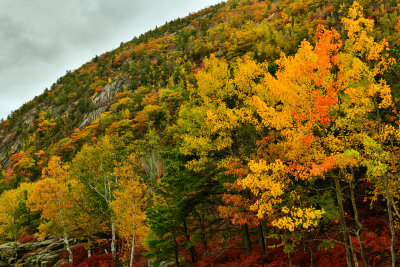 ME - Acadia National Park Champlain Mountain 1.jpg