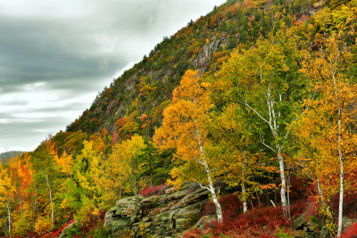 ME - Acadia National Park Champlain Mountain 2.jpg