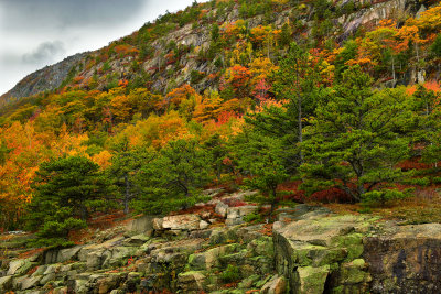 ME - Acadia National Park Champlain Mountain 3.jpg