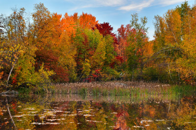 ME - Acadia National Park Pond 1.jpg
