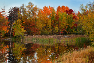ME - Acadia National Park Pond 2.jpg