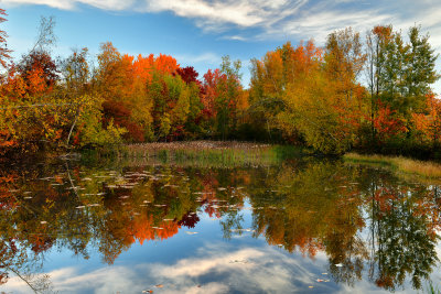 ME - Acadia National Park Pond 3.jpg