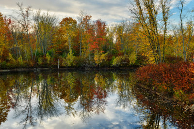 ME - Acadia National Park Pond 4.jpg