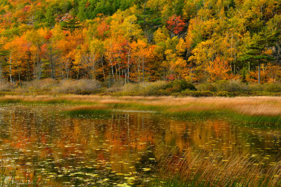 ME - Acadia National Park The Tarn.jpg