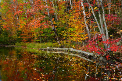 NH - Crawford Notch State Park Pond 3.jpg