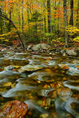 NH - Crawford Notch State Park Saco River 1.jpg