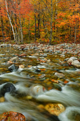 NH - Crawford Notch State Park Saco River 4.jpg