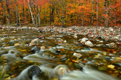 NH - Crawford Notch State Park Saco River 5.jpg