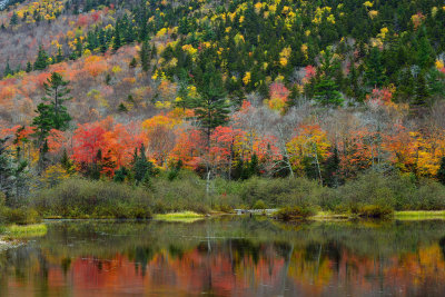 NH - Crawford Notch State Park Willeys Pond 2.jpg