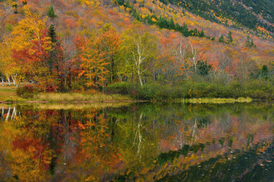 NH - Crawford Notch State Park Willeys Pond 4.jpg