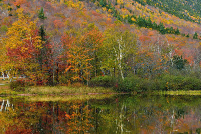 NH - Crawford Notch State Park Willeys Pond 5.jpg