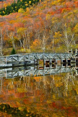 NH - Crawford Notch State Park Willeys Pond 7.jpg