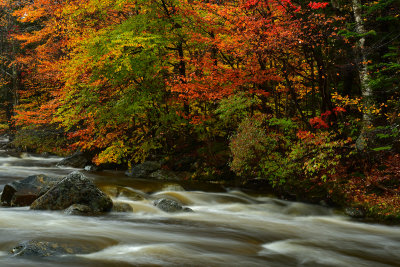 NH - Ellis River 3.jpg