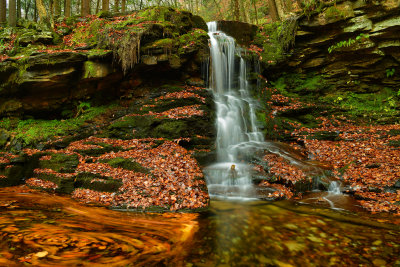 PA - Dry Run Falls Swirling Leaves.jpg