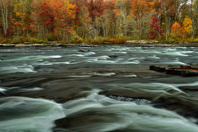 PA - Ohiopyle State Park Youghiogheny River.jpg