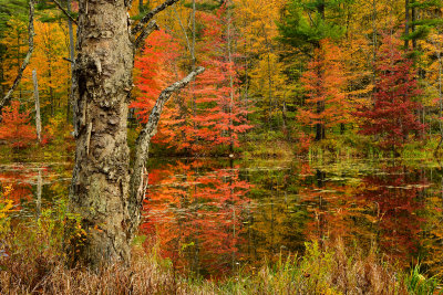 VT - Echo Lake 2.jpg
