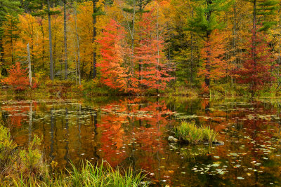 VT - Echo Lake 3.jpg
