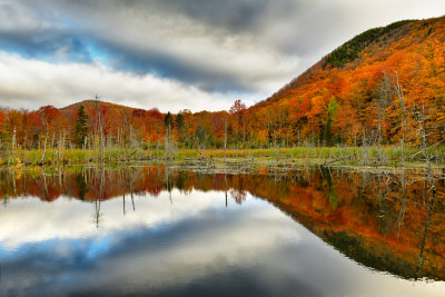 VT - Pico Mountain Fall Swamp 3.jpg