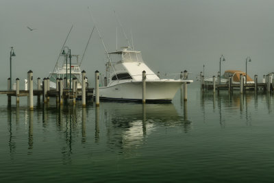 FL - Islamorada Key Harbor Foggy 2.jpg