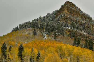 CO - San Juan Mountains Snowy Peak Fall Colors 1.jpg