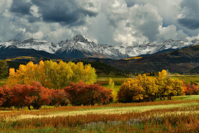 CO - San Juan Mountains Snowy Peak Fall Colors 10.jpg