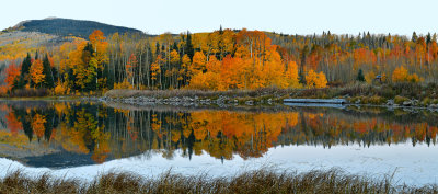 CO - Woods Lake Fall Morning 2.jpg
