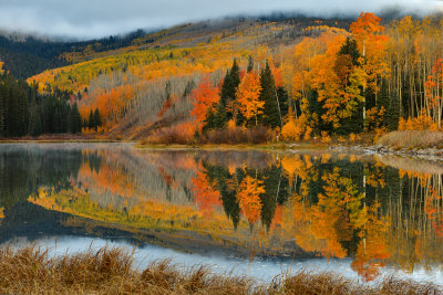 CO - Woods Lake Fall Morning 4.jpg