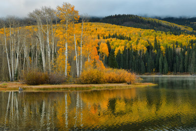CO - Woods Lake Fall Morning 5.jpg