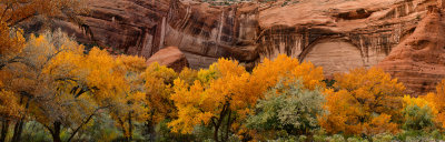 AZ - Canyon de Chelly National Monument Floor Pano 1_LowRes.jpg