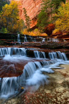 UT - Zion National Park Archangel Falls.jpg