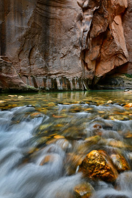 UT - Zion National Park Fall Narrows 12.jpg