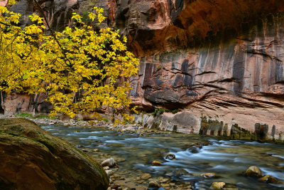 UT - Zion National Park Fall Narrows 19.jpg