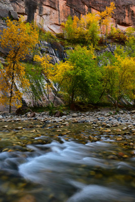 UT - Zion National Park Fall Narrows 2.jpg