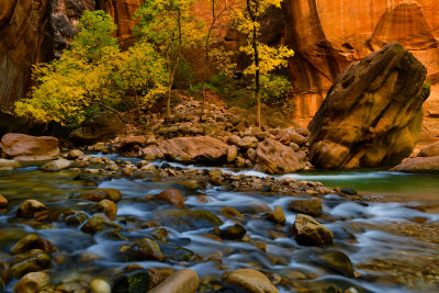 UT - Zion National Park Fall Narrows 8.jpg