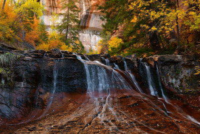 UT - Zion National Park North Creek Falls.jpg