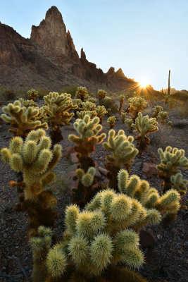 AZ - Kofa Mountains Sunrise.jpg